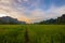 Landscape. Mountain with green rice field during sunset in Phitsanulok,Thailand