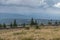 The landscape of mountain in Harz, Germany