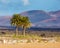 Landscape mountain in Lanzarote