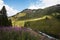 Landscape, Mountain, Pasture, Meadow, Switzerland