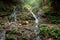 Landscape, mountain stream, cascades on a mountain river. The concept of active holidays, holidays