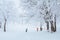 Landscape and Mountain view of Nozawa Onsen in winter , Nagano, Japan