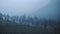 Landscape mountain view of tea plantations, Munnar, Kerala, India, on a rainy da