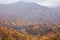 Landscape of mountain with yellow pine trees in autumn in Bandai Azuma Lakeline - Yama, Fukushima, Japan