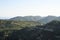 Landscape of a mountainous area with olive tree plantations.