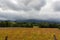 Landscape in the mountains. Corn field with mountains in clouds. Countryside landscape. Scenery valley.