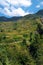 Landscape with mountains, forest and pines, cottages, mountain houses, blue sky, clouds, twisting road & terrace farms.