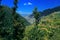 Landscape with mountains, forest and pines, cottages, mountain houses, blue sky, clouds, twisting road & terrace farms.