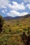 Landscape with mountains, forest and pines, cottages, mountain houses, blue sky, clouds, twisting road & terrace farms.