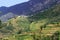 Landscape with mountains, forest and pines, cottages, mountain houses, blue sky, clouds, twisting road & terrace farms.