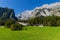 Landscape of mountains, green field, sky, forest in Konigsee, Germany