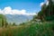 Landscape with mountains, lush green grass, wild flowers and large caps of clouds over the mountain tops in Krasnaya Polyana,