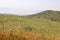 Landscape in the mountains in northern Israel