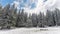 Landscape with mountains and pine forest full of white frost  in the spring time , Romanian landscape in the Carpathian mountains