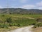 Landscape of the mountains and the plantation of grapevines vineyard in Spain.