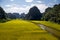 Landscape with mountains, rice fields and river