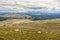 Landscape with mountains and sheep, Norway