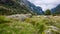 Landscape with mountains and sheep, Norway