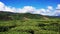 landscape with mountains  tea garden and clouds