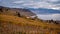 Landscape with mountains, vineyard and lake. Lavaux vineyard, buildings and Lake Geneva in autumn