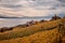 Landscape with mountains, vineyard and lake. Lavaux vineyard, buildings and Lake Geneva in autumn