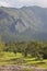 Landscape in Mudumalai National Park