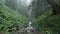 Landscape of a mystical mountain river in the forest Nature in the rain with fog