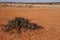 Landscape Namaqualand Northern Cape Province of South Africa