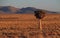 Landscape Namaqualand Northern Cape Province of South Africa