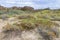 Landscape Nationaal Park Hollandse Duinen with dunes under a clouded sky