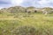 Landscape Nationaal Park Hollandse Duinen with dunes under a clouded sky