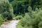 Landscape of the National park Domogled Valea Cernei in romania