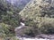 Landscape of national park Manu in Peru, natural outdoor background of rainforest, trees, plants, leaves. Green naturally wild