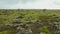 Landscape of natural ground in Iceland covered green moss in fall day, near road with moving cars