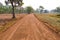 Landscape, Nature country road peaceful