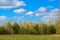 Landscape of nature, fields, meadows, grass, trees, sky.