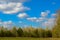 Landscape of nature, fields, meadows, grass, trees, sky.