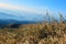 Landscape nature Hills grass