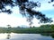 The landscape nature views the lake and pine tree in the morning in a landscape view