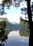 The landscape nature views the lake and pine tree in the morning in a portrait view