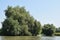 Landscape on a navigable canal surrounded by vegetation in the Danube Delta, Romania