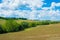 Landscape near Buonconvento in Tuscany, Italy