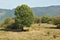Landscape near Glozhene Monastery, Stara Planina Mountain Balkan Mountains, Lovech region, Bulgaria