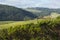 Landscape near Johanna Beach