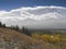 Landscape near kluane lake