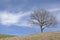 Landscape near Murnau in Upper Bavaria