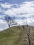 Landscape near Murnau in Upper Bavaria