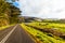 Landscape Near New Norfolk in Tasmania Australia