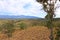 the landscape near the Rincon de la Vieja an guanacaste national park, Costa Rica