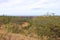 the landscape near the Rincon de la Vieja an guanacaste national park, Costa Rica